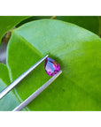 Natural loose ruby pear shaped, front side gemstone held by tweezers on a green leaf
