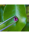 1.00 carat natural pear-shaped deep red ruby held by tweezers on a green leaf.