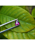 1.00 carat natural pear-shaped ruby held by tweezers against green leaves.