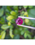 1.19 carat pear cut natural ruby gemstone, sparkling red, held by tweezers against green foliage.