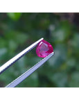 Pear cut natural ruby loose gemstone held by tweezers against a blurred green background