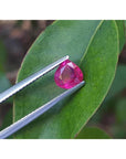 1.19 carat pear cut natural ruby gemstone, sparkling medium deep red, held by tweezers over a green leaf.