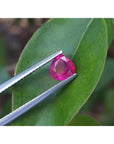 1.19 carat pear cut natural ruby gemstone, sparkling medium deep red, held by tweezers over a green leaf.