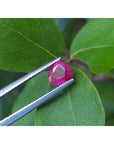 1.19 carat pear cut natural ruby gemstone, sparkling medium deep red, held by tweezers on green leaves.