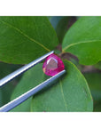 1.19 carat pear cut natural ruby gemstone, sparkling medium deep red, held by tweezers on green leaves.