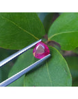 1.19 carat pear cut natural ruby gemstone, sparkling medium deep red, held by tweezers on green leaves.