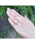 Round cut three-stone diamond engagement ring in 14K white gold on a hand, surrounded by green leaves.