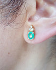 Oval stud earrings push backs