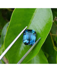 Loose sapphire GIA certified natural untreated emerald cut, held by tweezers on a green leaf