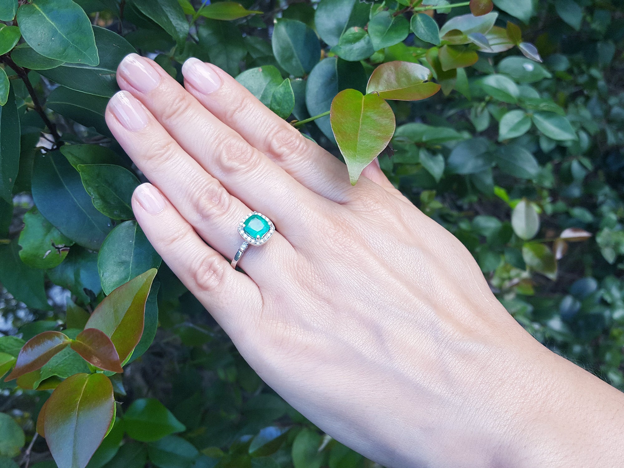 A hand wearing a cushion cut natural colombian emerald ring on a leafy background.