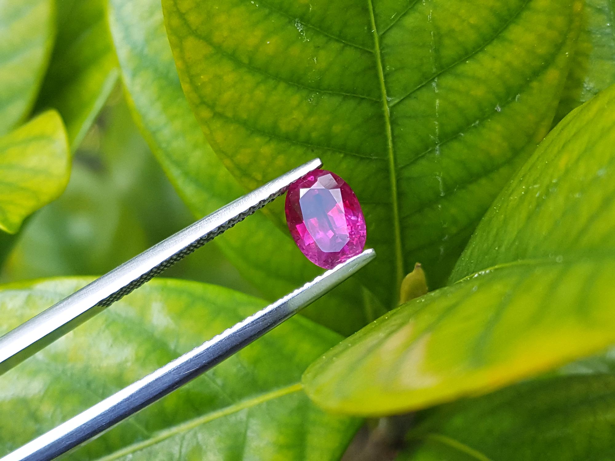 Oval cut Mozambique ruby