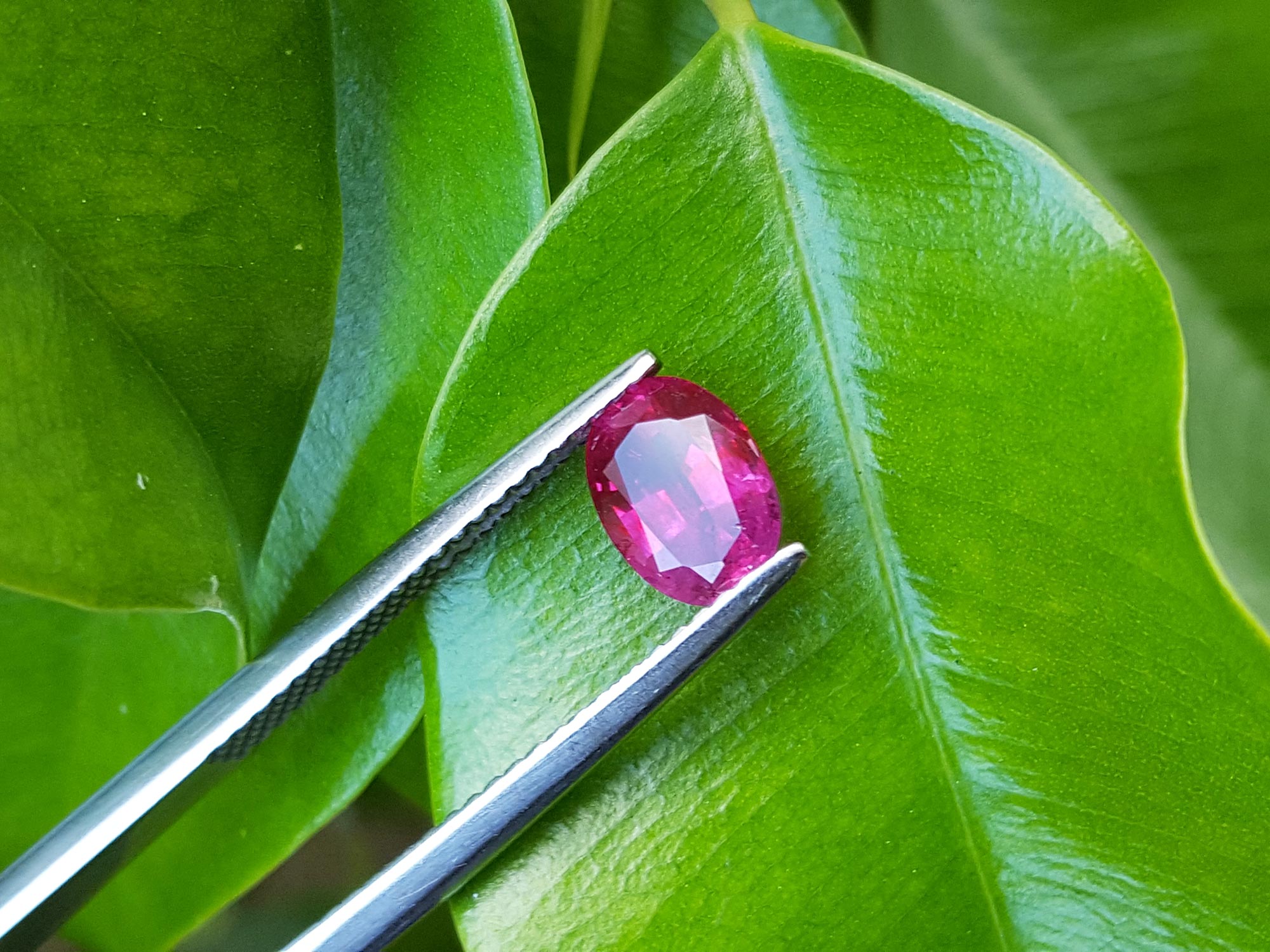 Mozambique loose ruby in USA
