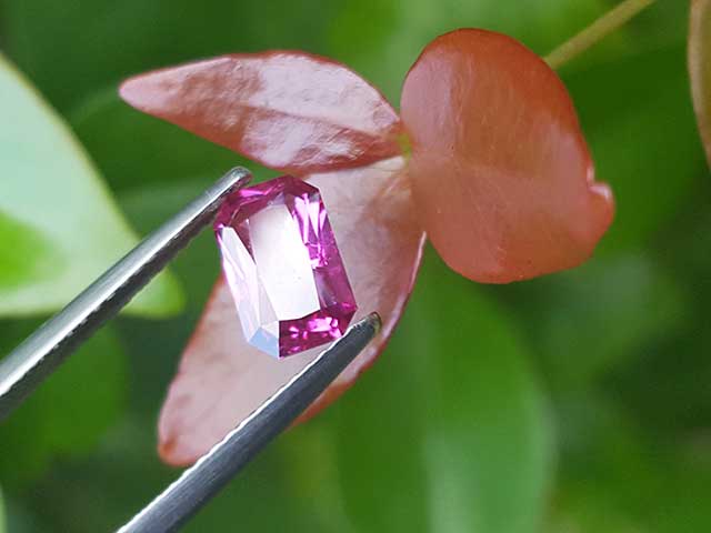 Pink loose sapphire for sale