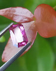Pink loose sapphire for sale