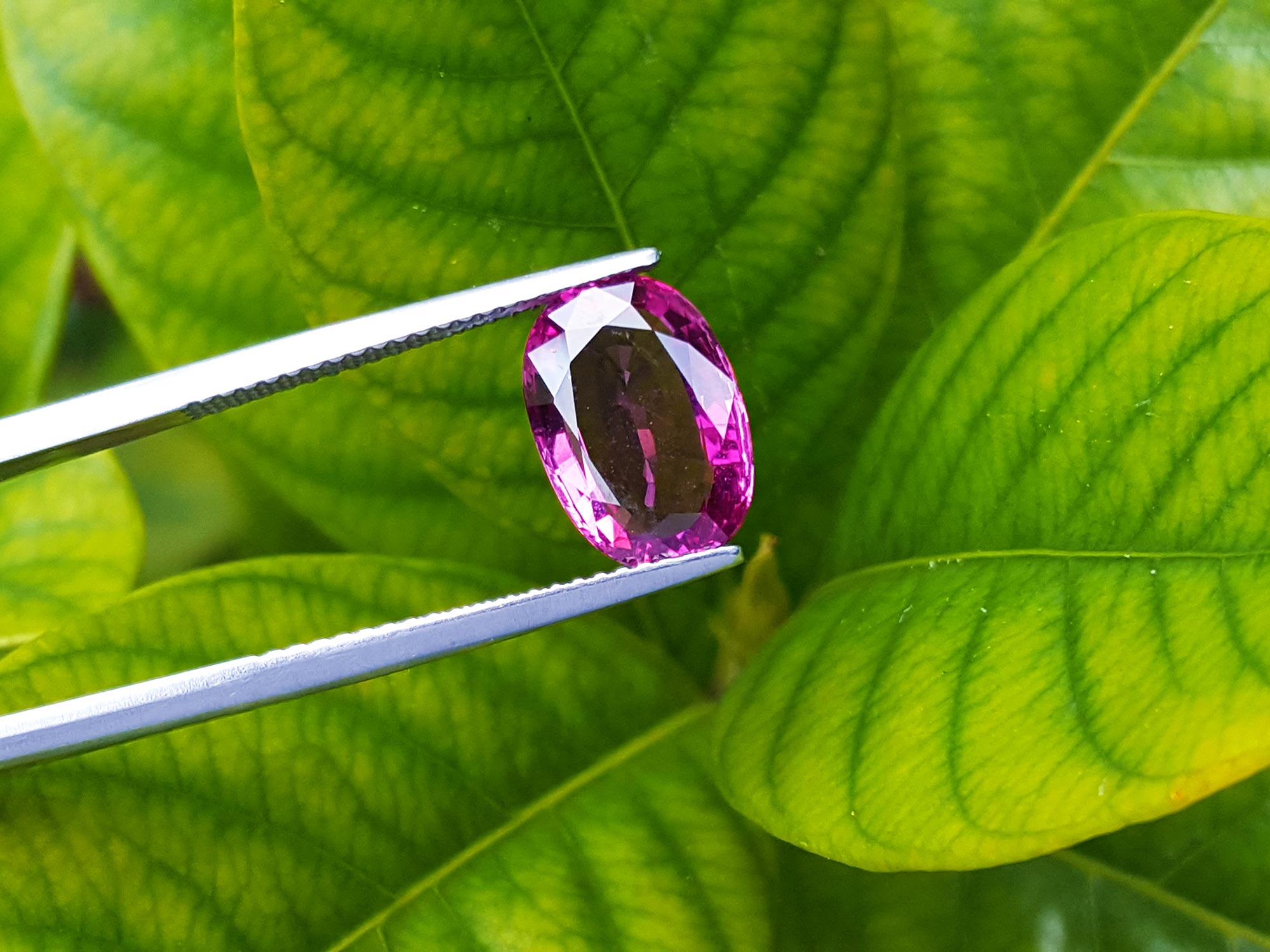 Pink sapphire oval cut
