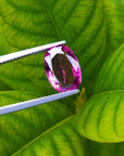 Pink sapphire oval cut