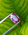 Fine loose pink sapphire