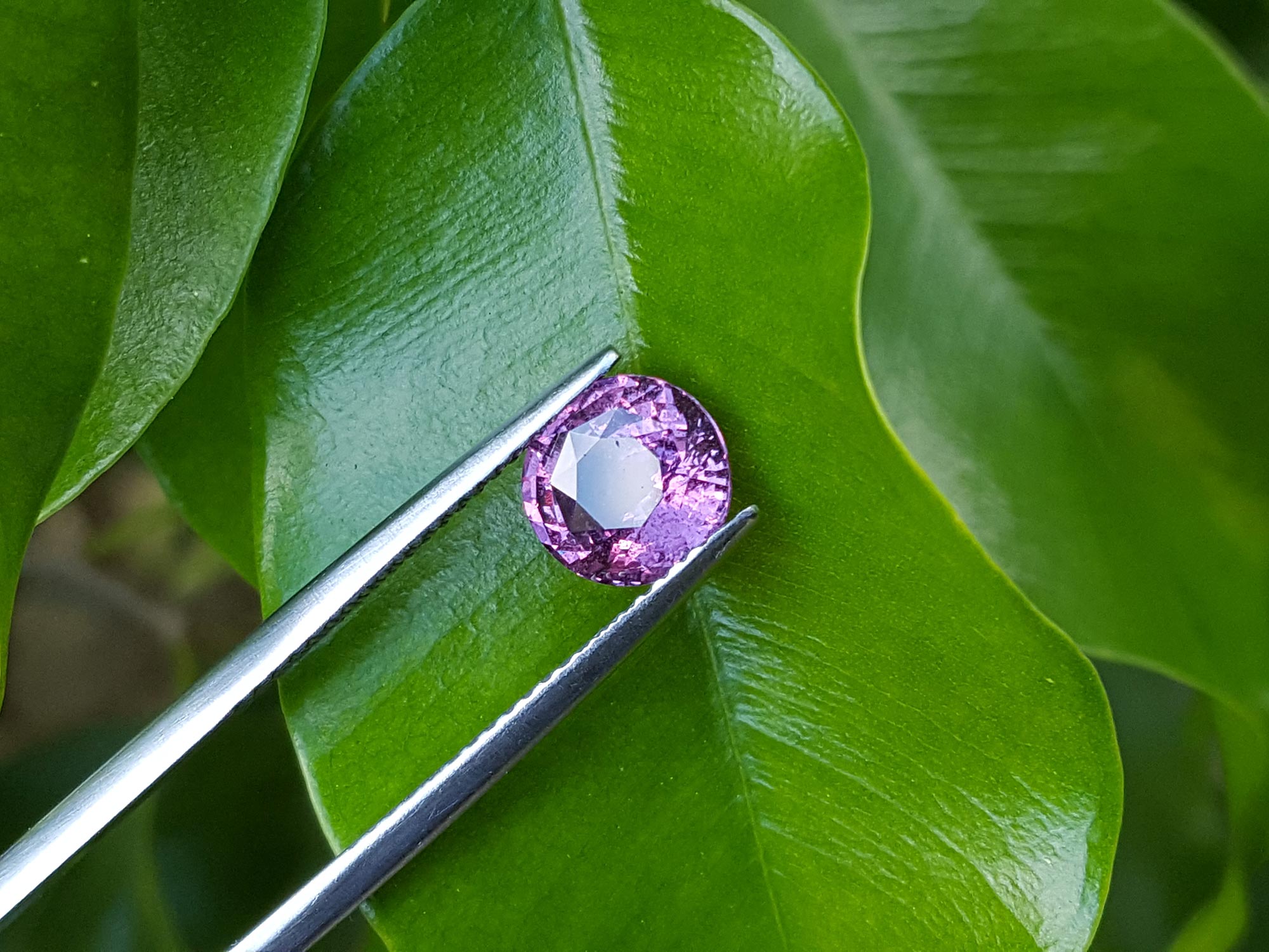 Brillian pink sapphire