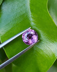 September birthstone sapphire