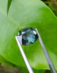 3.49 ct. Australian sapphire