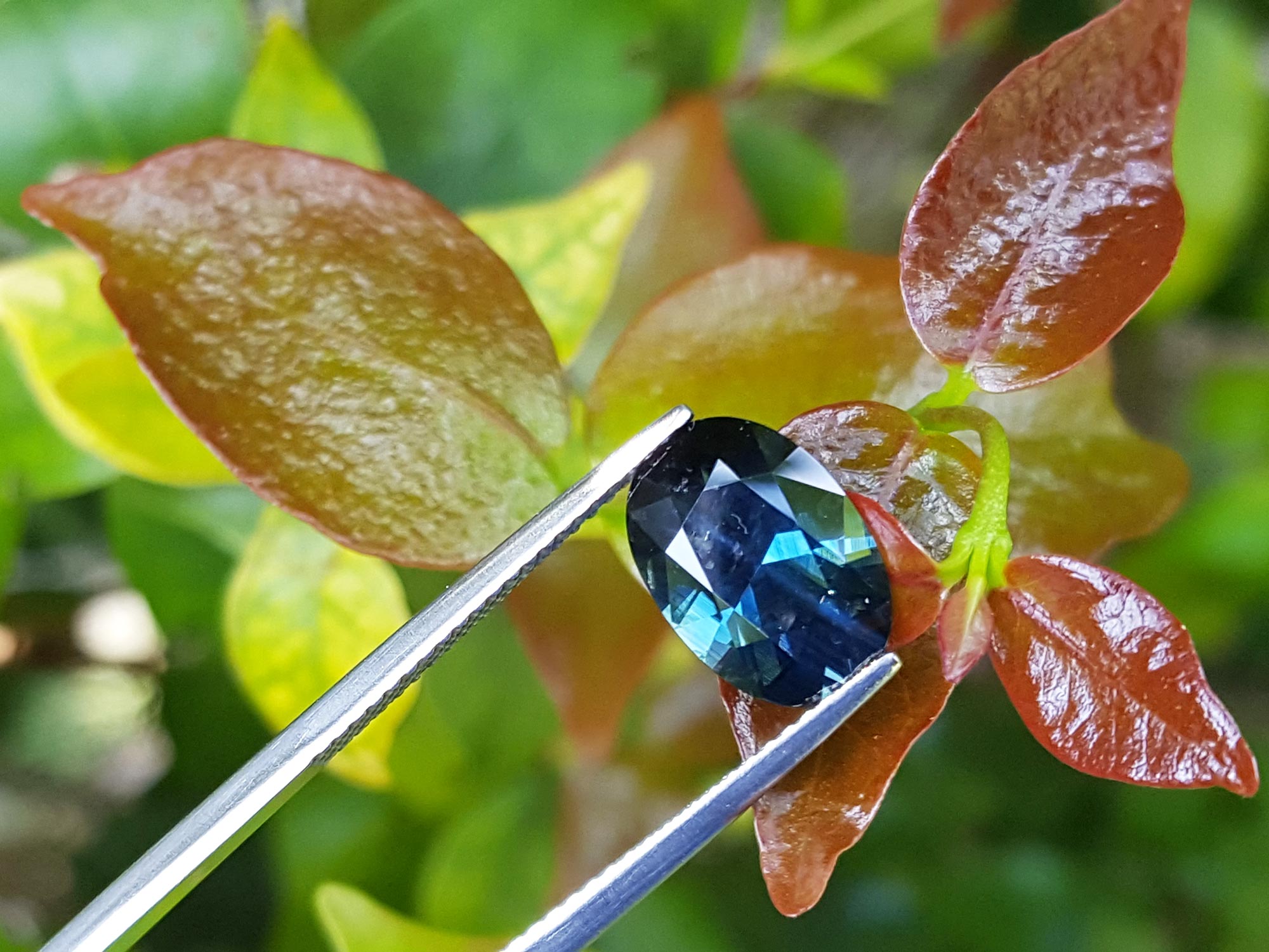 real blue sapphire