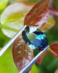 natural loose sapphire
