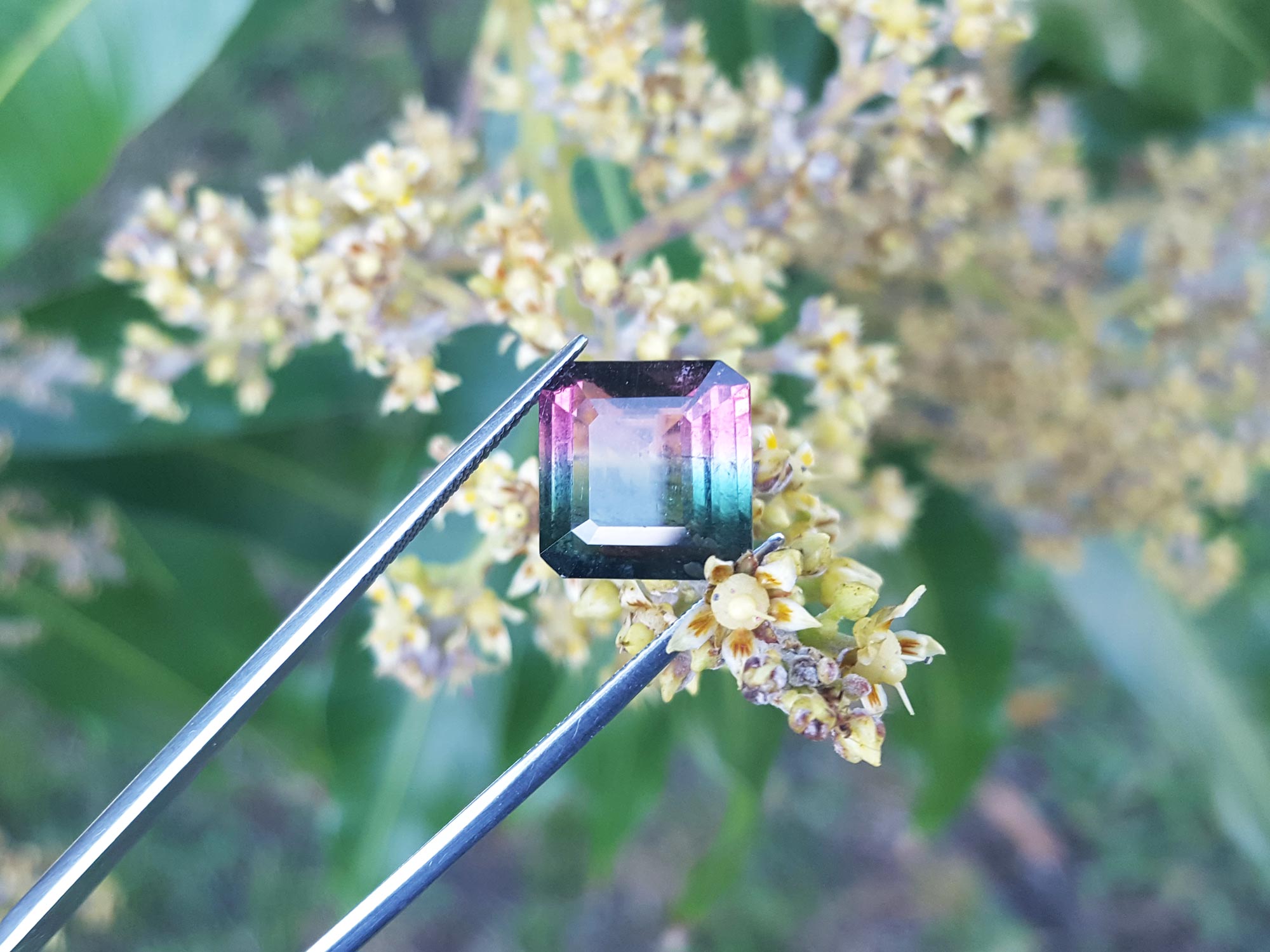 Square watermelon tourmaline