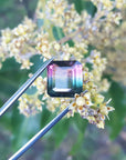 Square watermelon tourmaline
