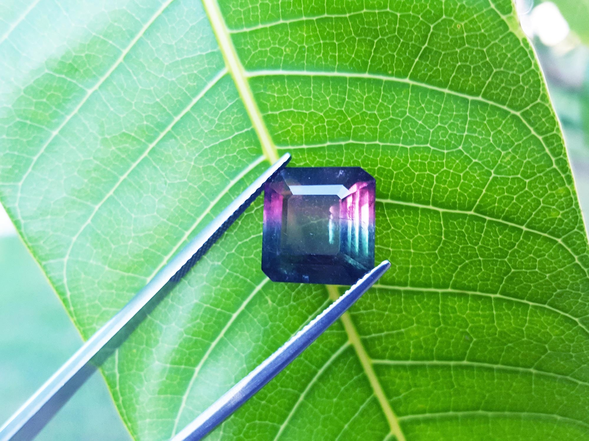 Genuine watermelon tourmaline