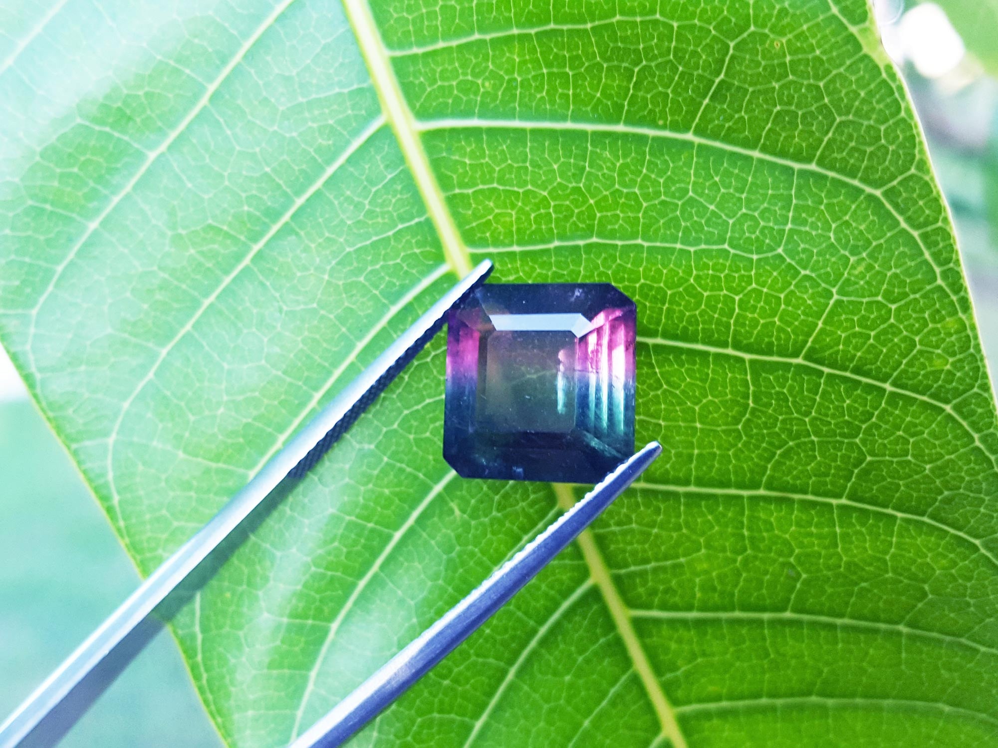 Genuine watermelon tourmaline 