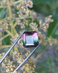 watermelon tourmaline from Brazil