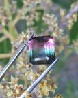 Tourmaline watermelon bicolor