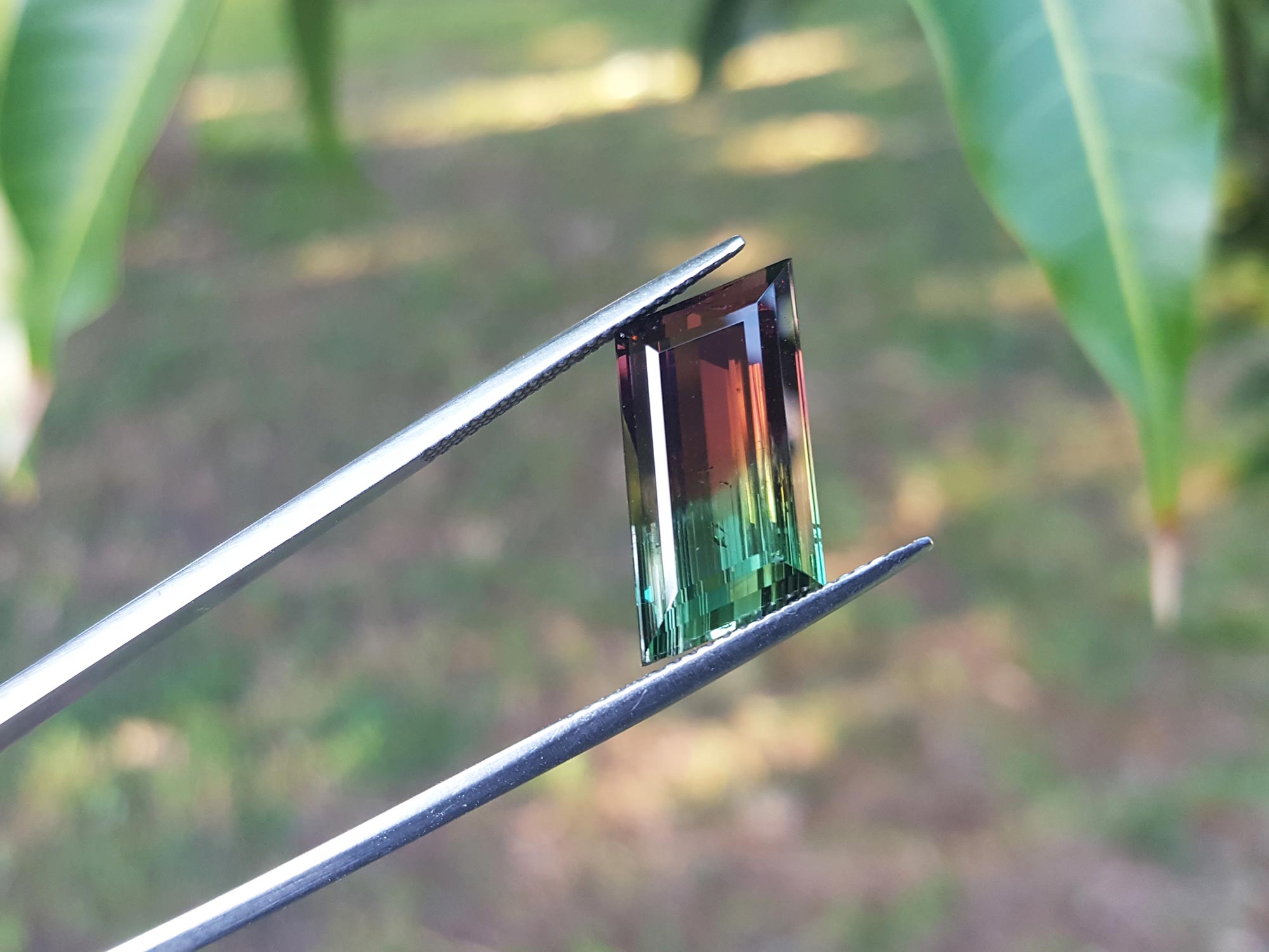 Bicolor Watermelon tourmaline
