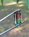 Bicolor Watermelon tourmaline