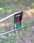 Fine Watermelon tourmaline