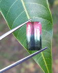 Natural Brazilian watermelon tourmaline