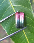 Bicolor tourmaline for sale