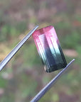 Emerald cut watermelon tourmaline