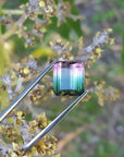 watermelon tourmaline from Brazil