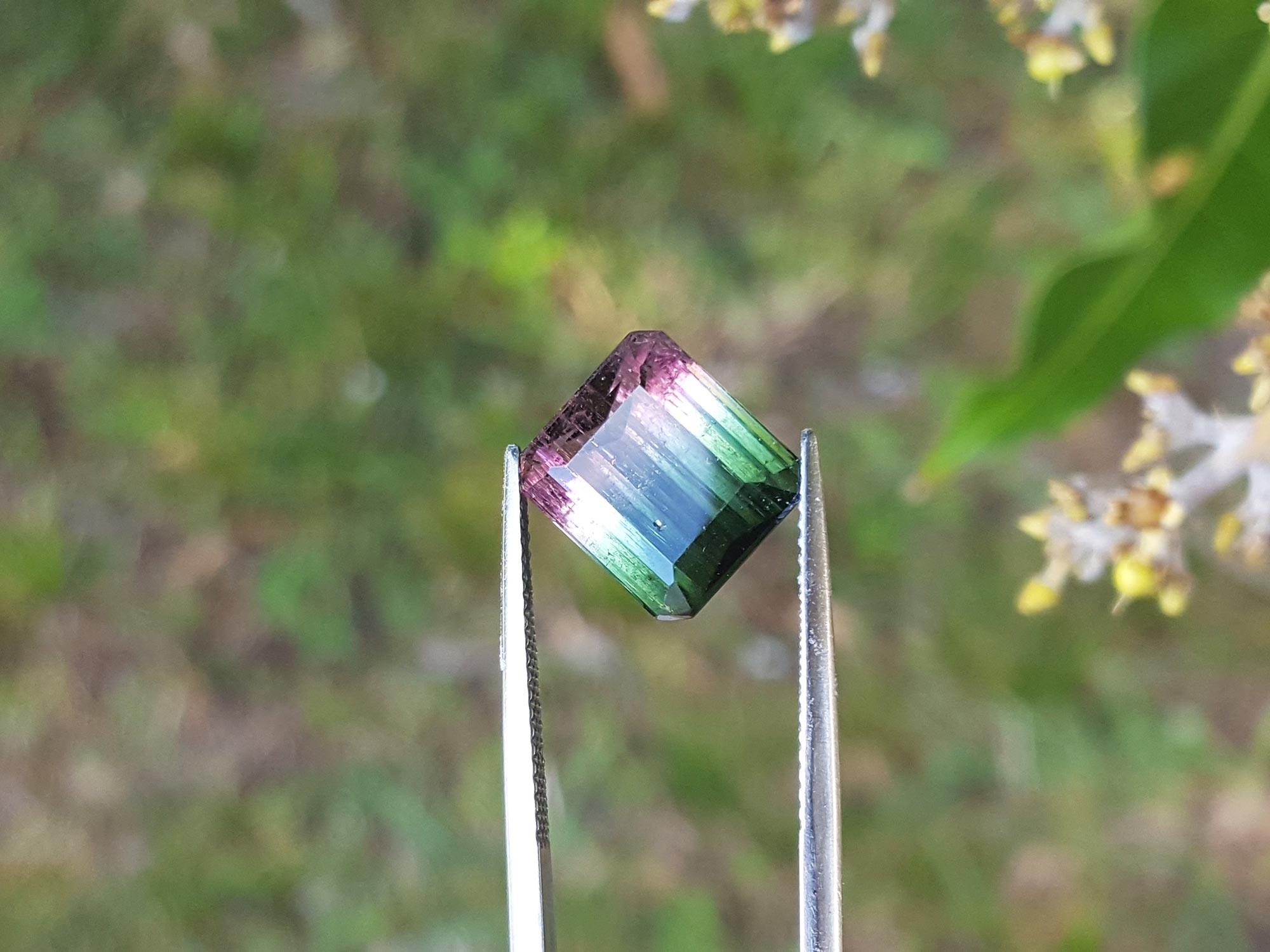 Bicolor watermelon tourmaline