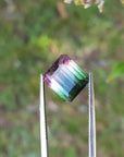 Bicolor watermelon tourmaline