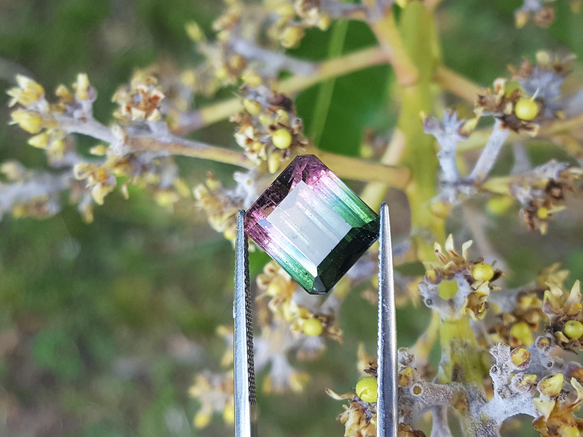 Fine watermelon tourmaline