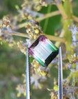 Fine watermelon tourmaline