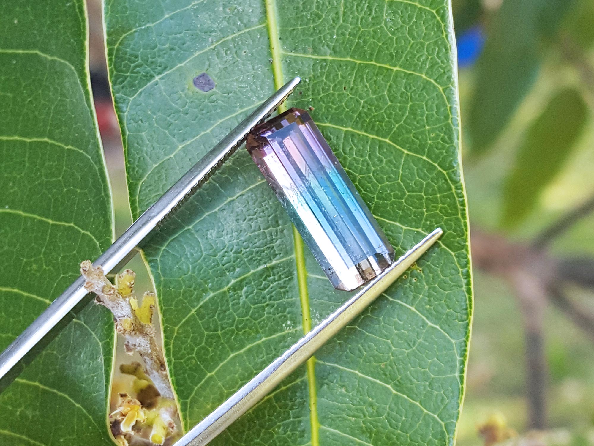 Brazilian watermelon tourmaline