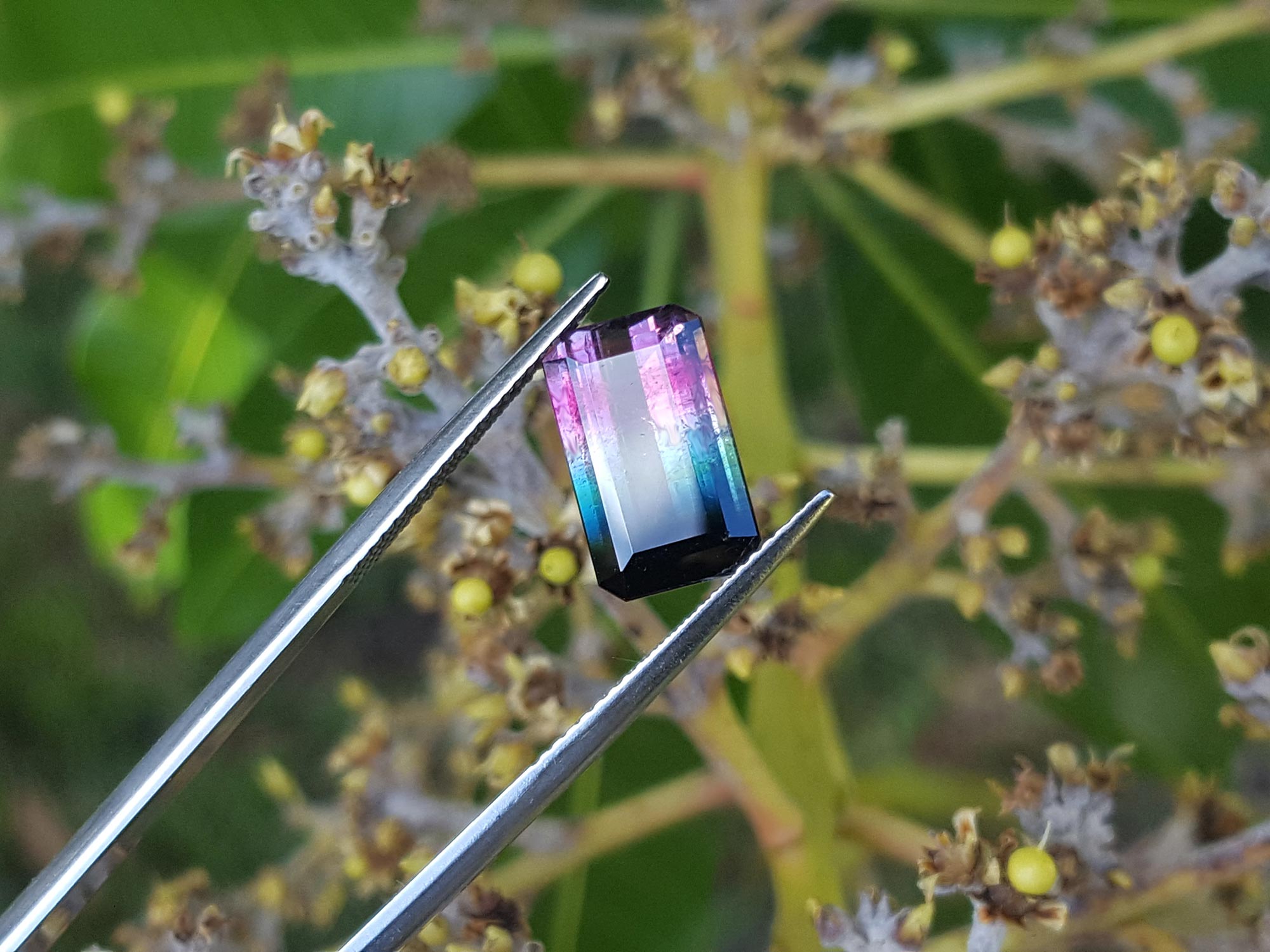 Genuine watermelon tourmaline