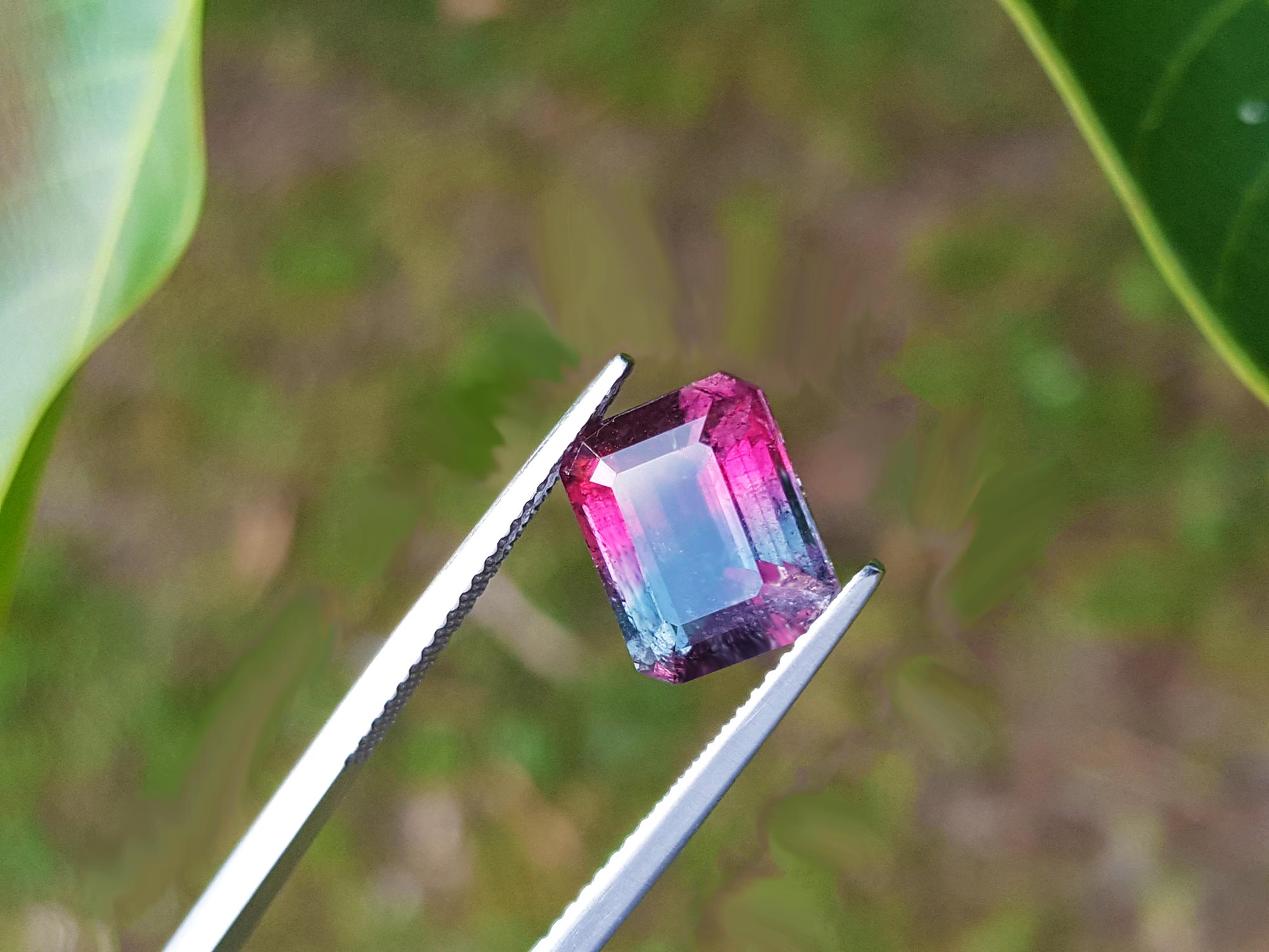 Bicolor watermelon tourmaline