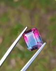 Bicolor watermelon tourmaline