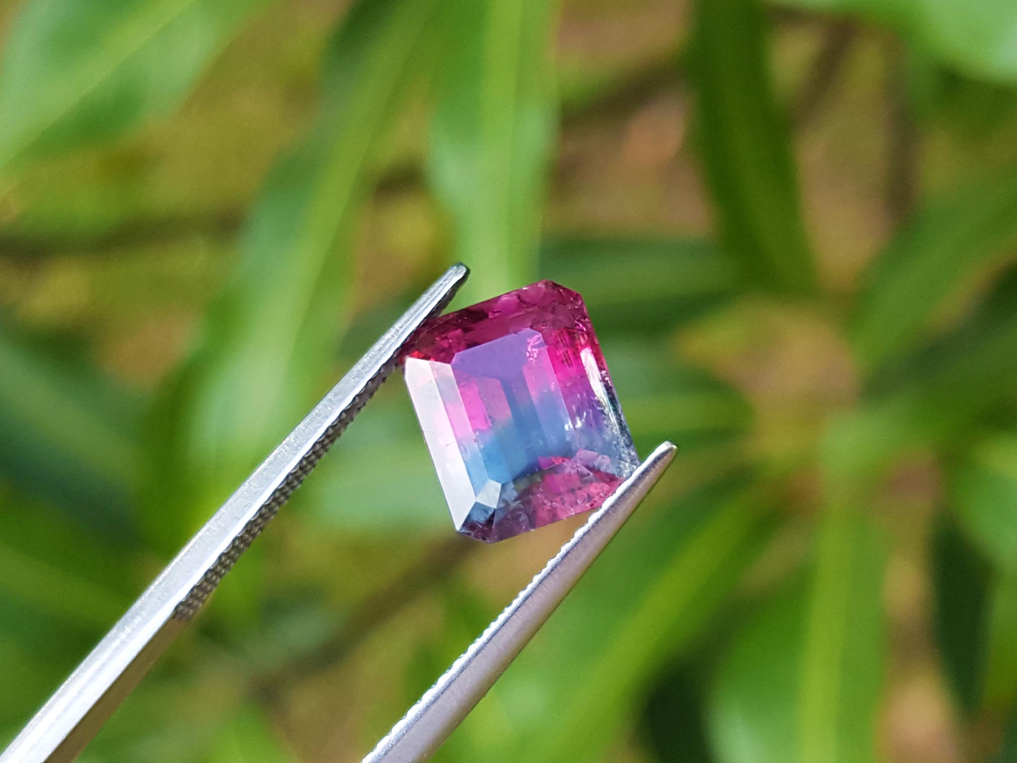 Red blue watermelon tourmaline