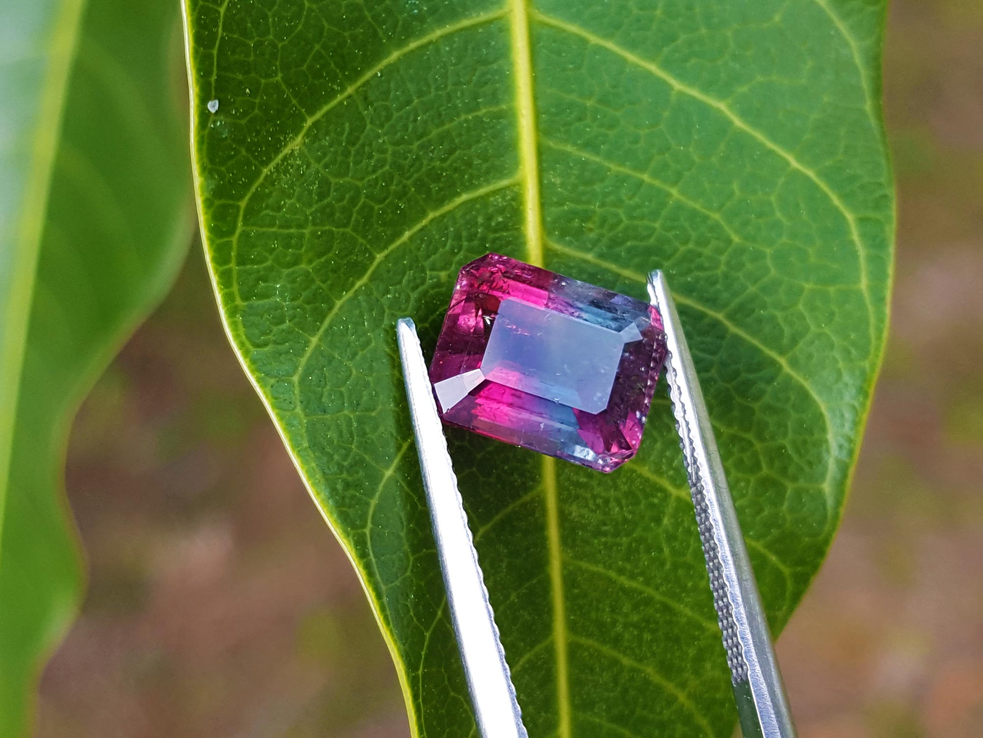 Emerald cut watermelon tourmaline