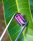 Brazilian watermelon tourmaline